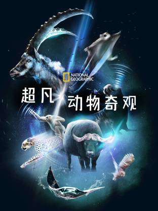 2022纪录片